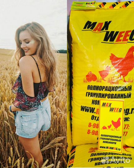 Комбикорм для всех видов птиц