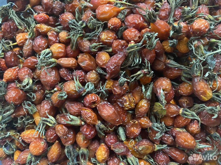 Клюква брусника черника шиповник