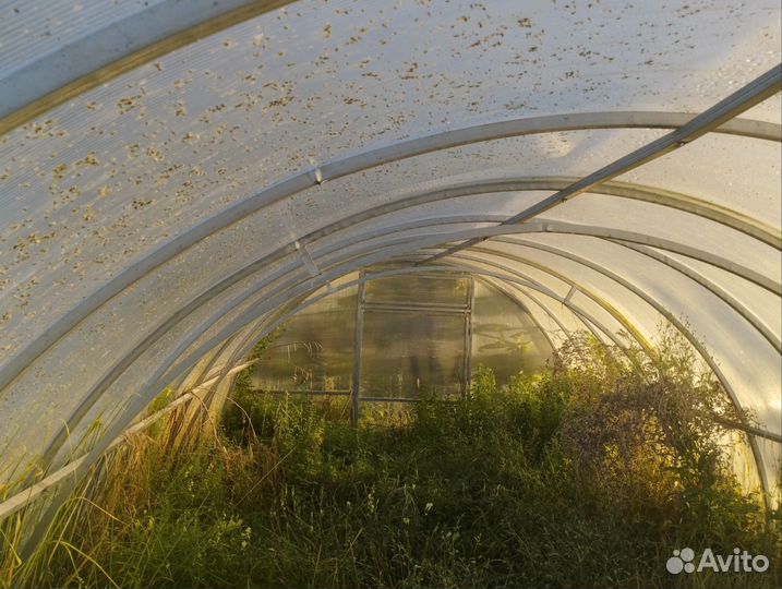 Теплица поликарбонат бу 3х6 м усиленная