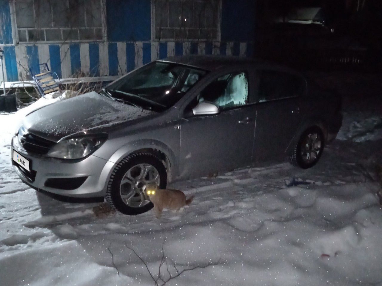 Opel Astra: фото владельца