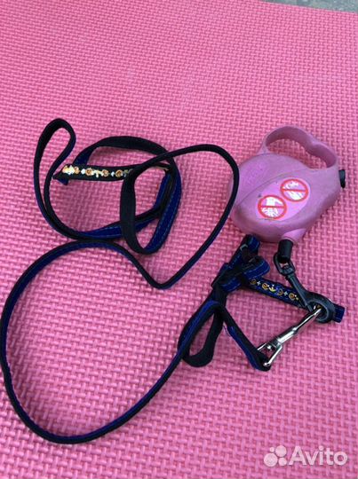 Шлейки с поводками