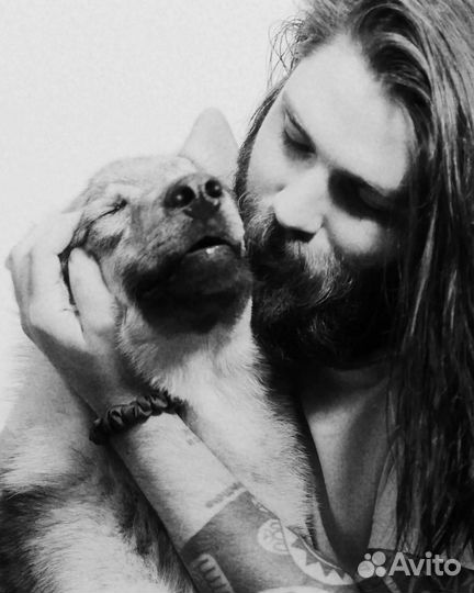 Кинолог l Зоопсихолог