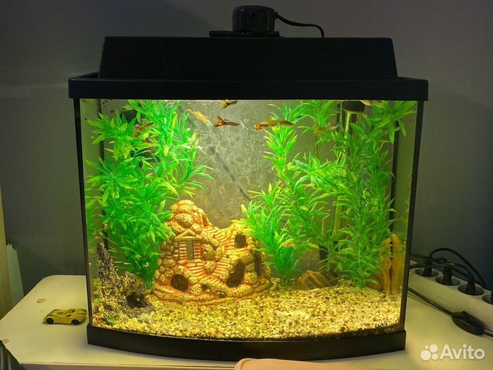 Аквариум с рыбками