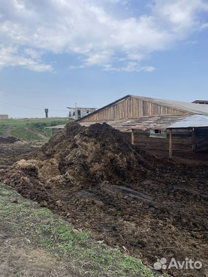 Чернозем, перегной, навоз