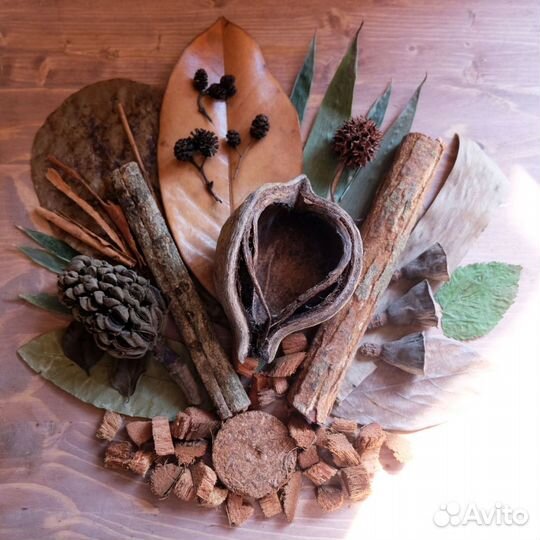 Органика для аквариума, листья и плоды