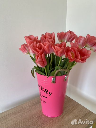 Цветные металлические вазоны-кашпо для цветов