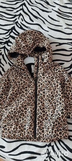 Ветровка для девочки 110-116