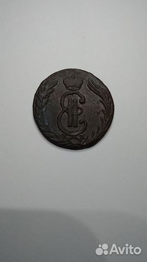 Сибирские монеты