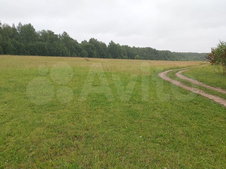 Участок 1,75 га (СНТ, ДНП)