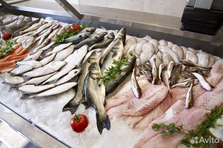 Готовый магазин рыбы и морепродуктов на продажу