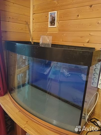 Нанакара, Барбус,Радужница, Тетра, пецилия