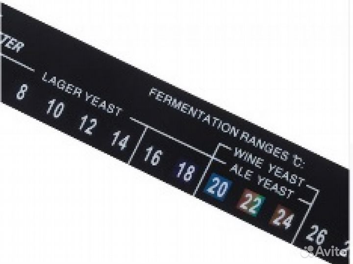 Конусный Ферментер Бирма 60л (комплект)