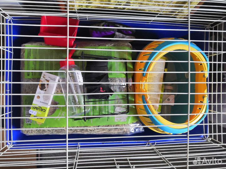 Клетка для грызунов. Огромный набор