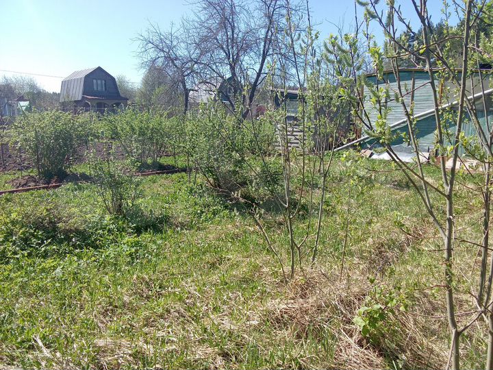 Участок 8 сот. (СНТ, ДНП)