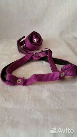 Ошейники для собак (2шт разных)