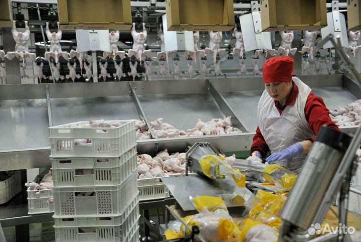 Упаковщик вахтой проживание питание