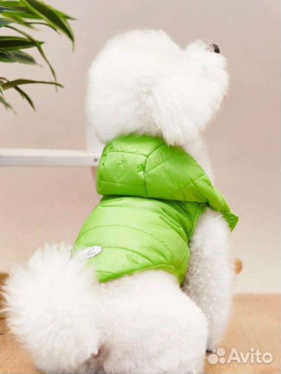 Жилетка на собаку