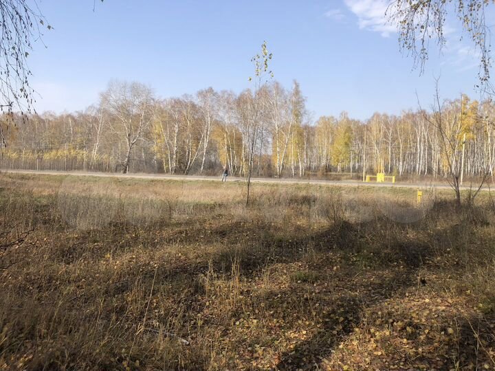 Участок 10,6 сот. (ИЖС)