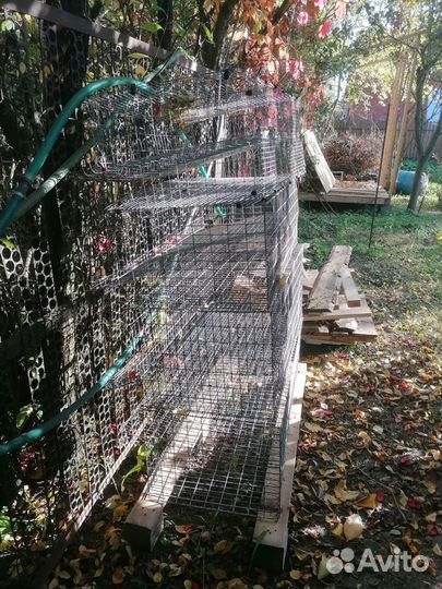 Клетки для перепелов бу