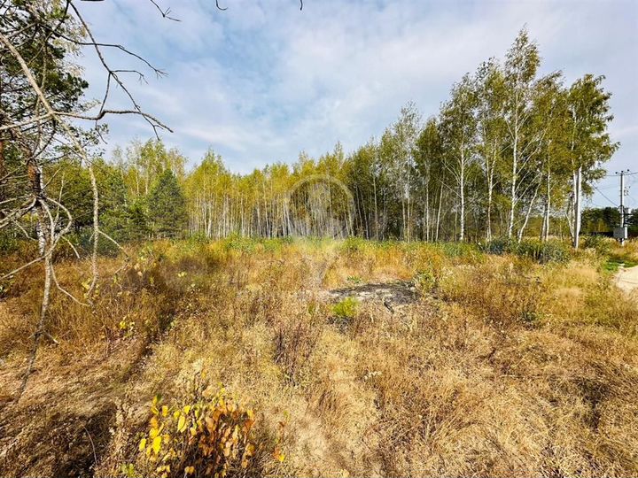 Участок 9 сот. (ИЖС)