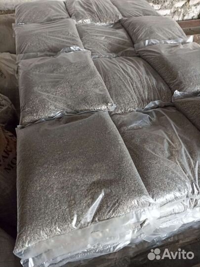 Ракушка морская кормовая