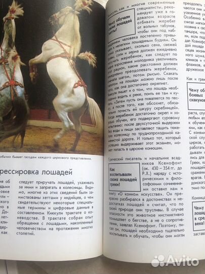 Книги о лошадях