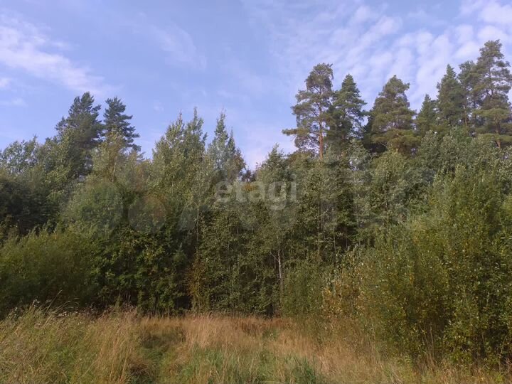 Участок 10 сот. (ИЖС)