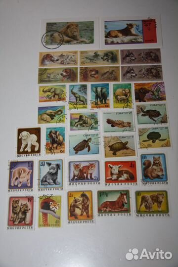 Почтовые Марки Блок Флора-фауна