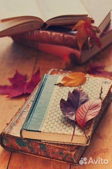 Все виды работ с текстом