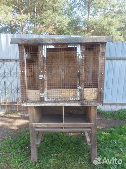 Брудер для птиц