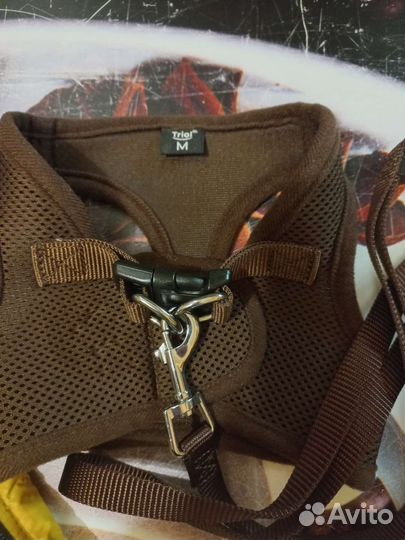 Комбинезон для собаки