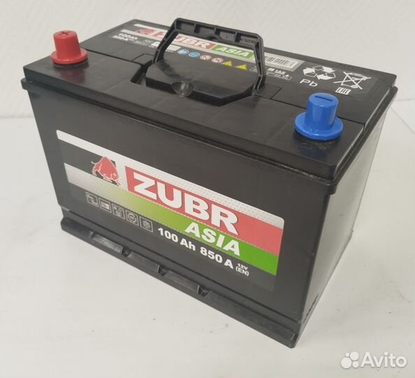 Zubr Asia 100Ач 850. Магазин. Гарантия