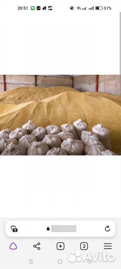 Зерно ячмень