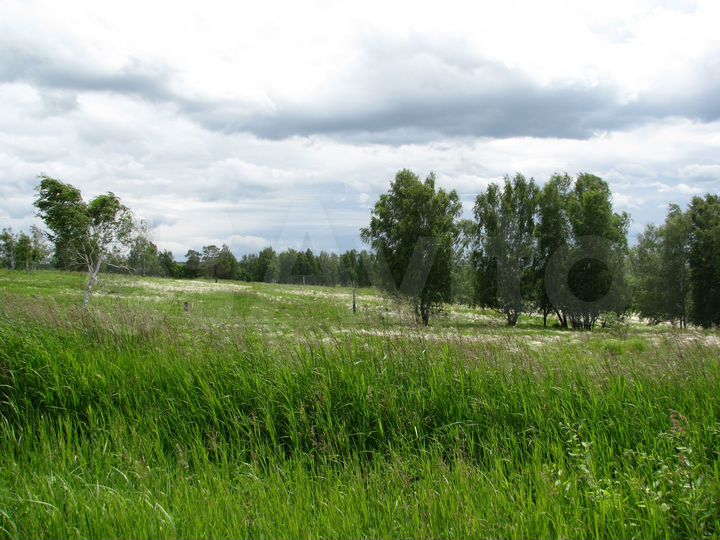 Участок 44 га (СНТ, ДНП)