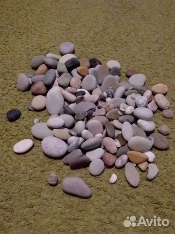 Морская галька и ракушка