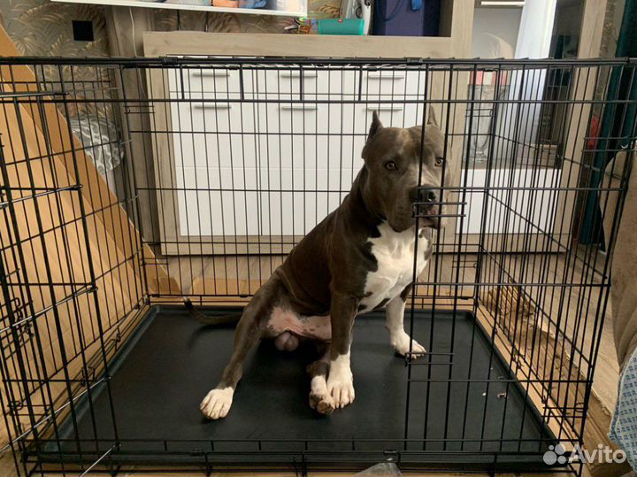Клетка для собак с пластиковым поддоном