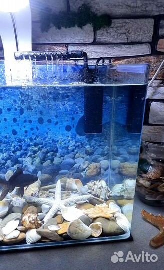 Аквариум 20 литров