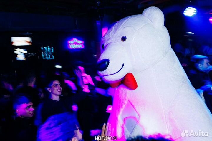 Поздравление Белого Мишки, Пневмо медведь