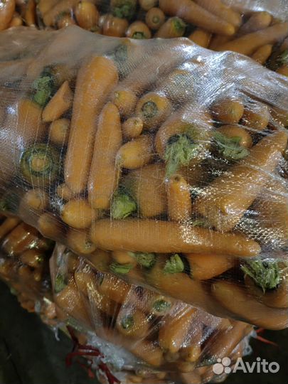 Картофель и овощи местные