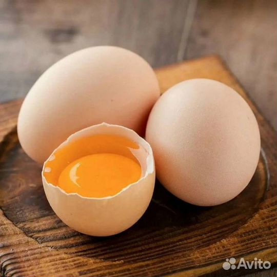 Домашние куриные яйца,цена за 1 десяток