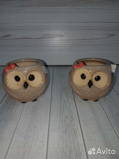 Кашпо для кактусов и сакулентов