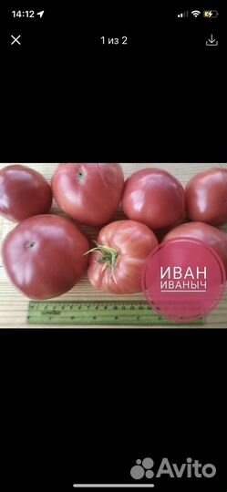 Семена томатов Иваныч,Бабушка Бейкера,Оля-ля