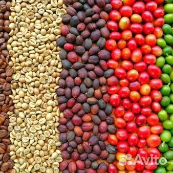 Кофе зеленый в зернах Brazil Santos Робуста Вьетна