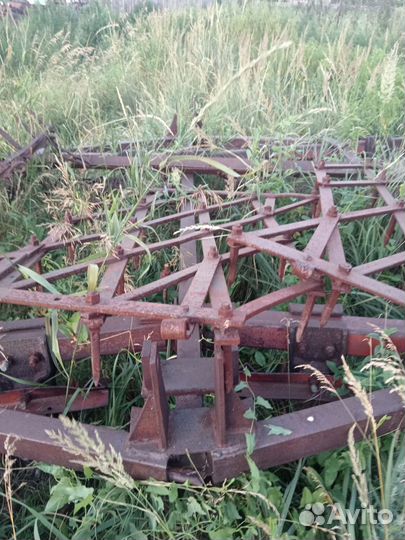 Биг борона игольчатая