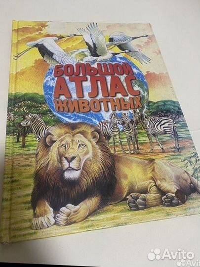 Детские энциклопедии животных