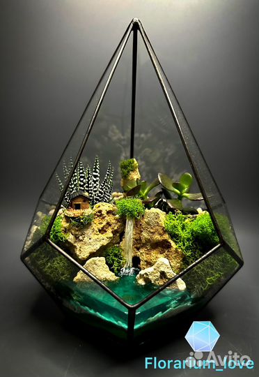 Флорариум с деревьями и суккулентами