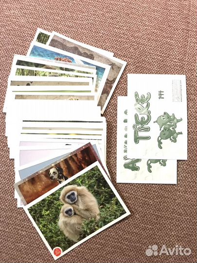 Наклейки щенячий патруль и зоопланета panini