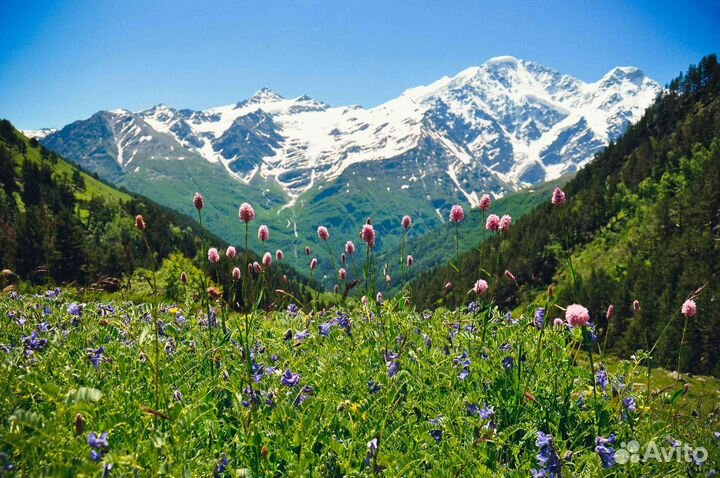 9июн24 тур Сокровища Северного Кавказа рэ3014