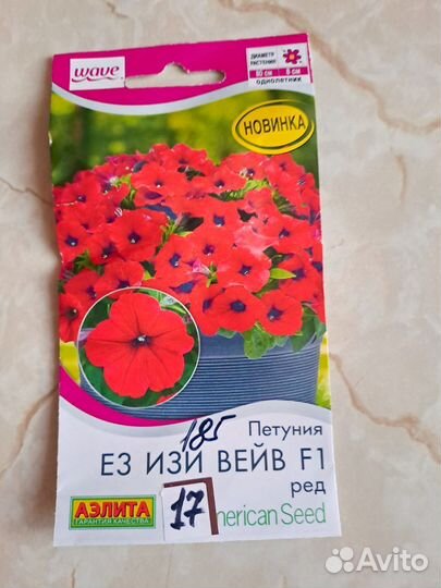 Рассада петунии