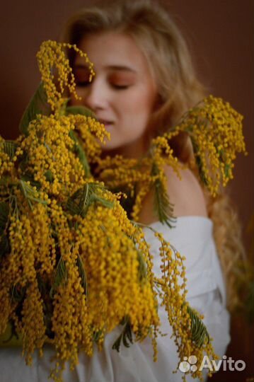 Фотосессия